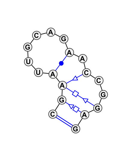 2D diagram