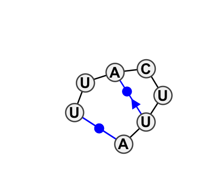 2D diagram