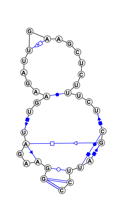 HL_64859.1