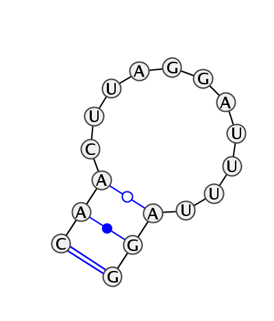 HL_82866.1