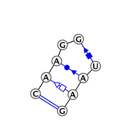 HL_06483.1