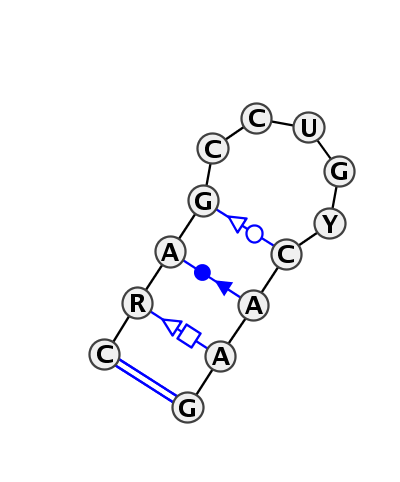 HL_12571.1