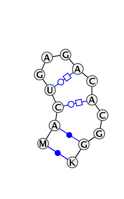 HL_81205.2