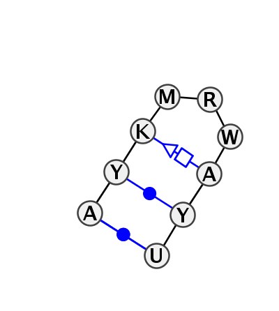HL_08748.1