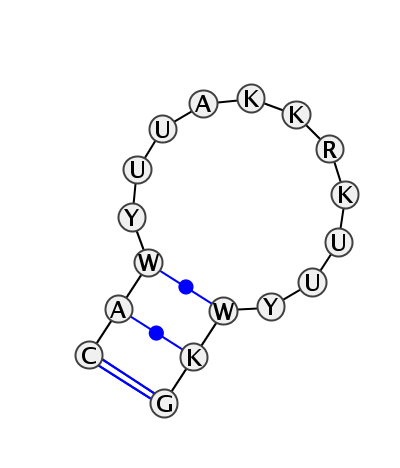 HL_01397.1