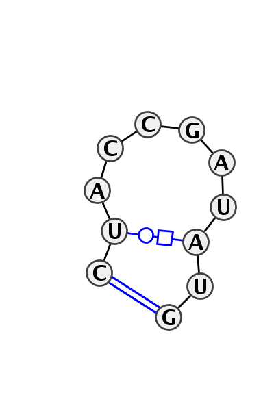 HL_08291.1