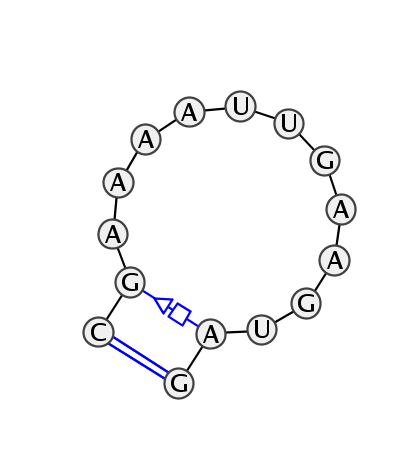HL_90257.1