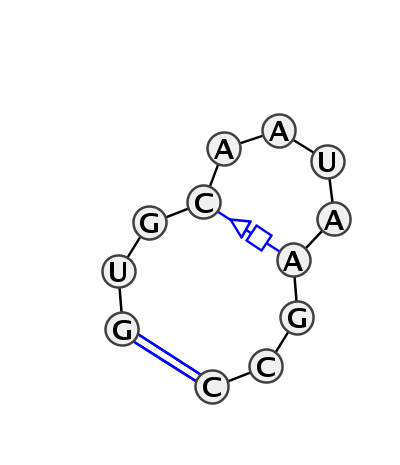 HL_37723.1