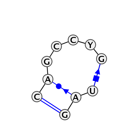 HL_56589.1