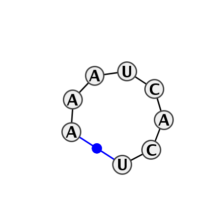 HL_78724.1