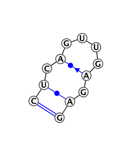 HL_93580.1