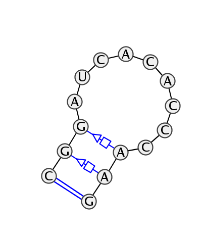 2D diagram