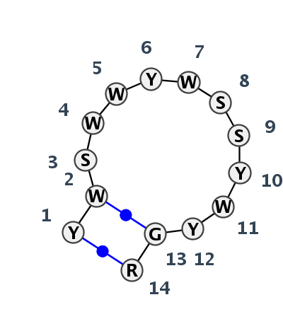 HL_07579.2