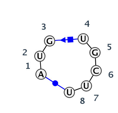 HL_08510.1