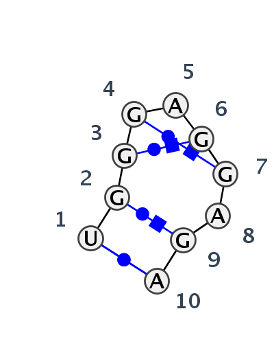 HL_16991.1