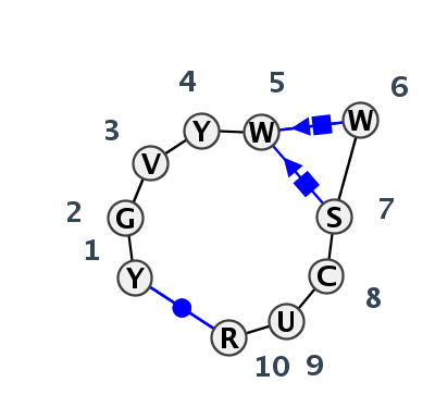 HL_99167.1