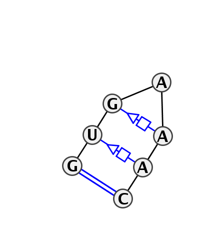 HL_01183.1