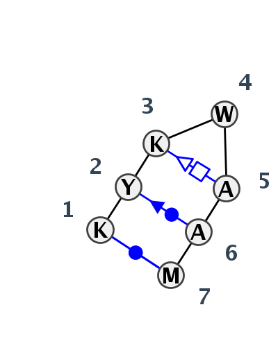 HL_03345.1