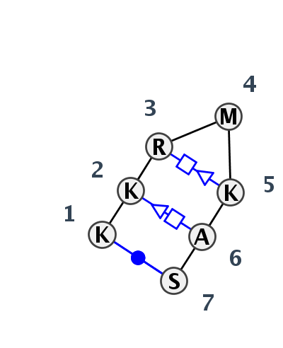 HL_40310.1