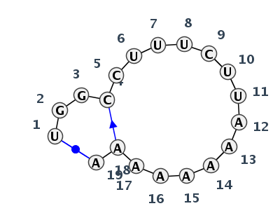 HL_00317.1