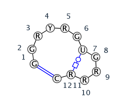 HL_86109.1