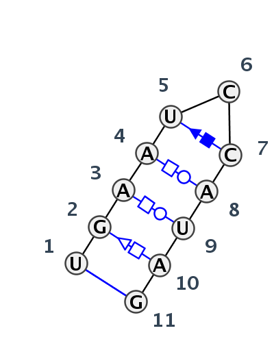 HL_81820.1