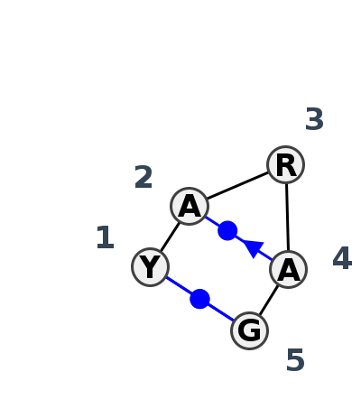 HL_04531.1