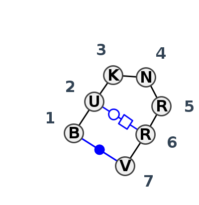 HL_58705.1