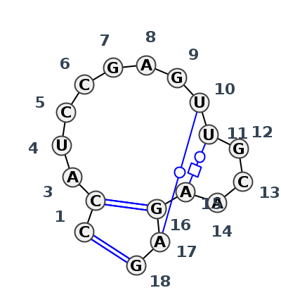 HL_66482.1