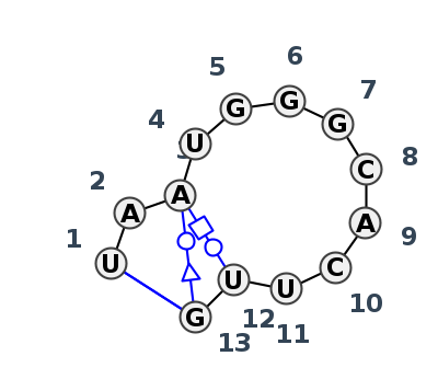 HL_58539.1