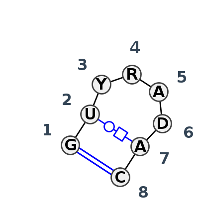 HL_81545.2