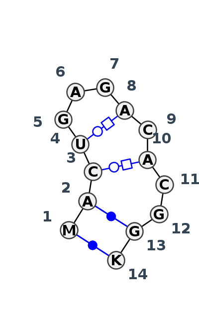 HL_81205.3