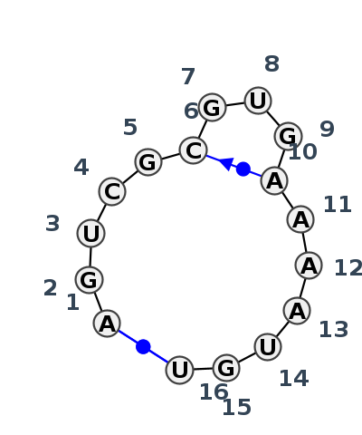 2D diagram