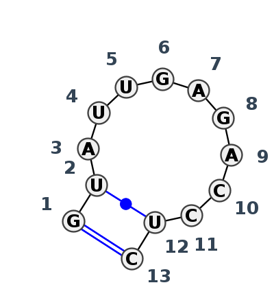 HL_07903.1