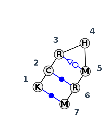 2D diagram