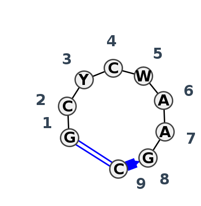 HL_93383.1