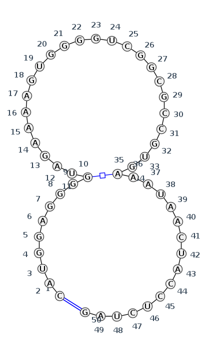 HL_45584.1