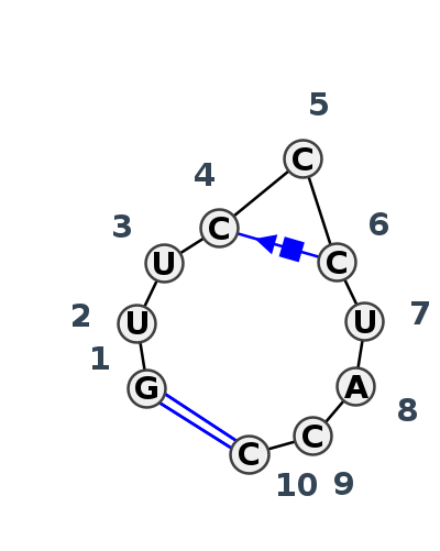 HL_51121.1