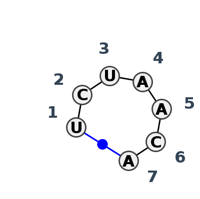 HL_55305.1