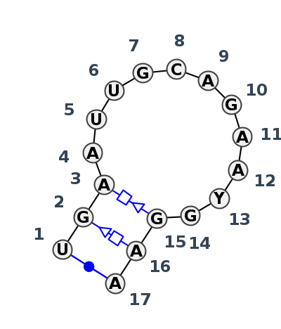 HL_68571.2