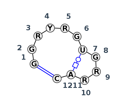 HL_86109.1