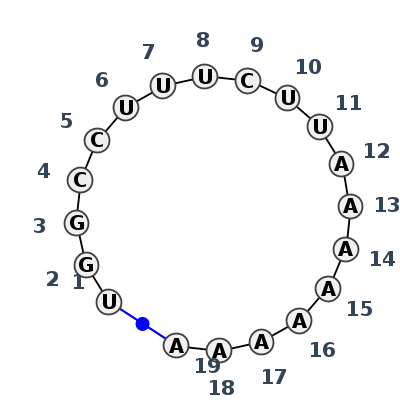 2D diagram