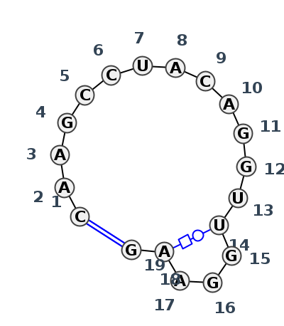 HL_42986.1