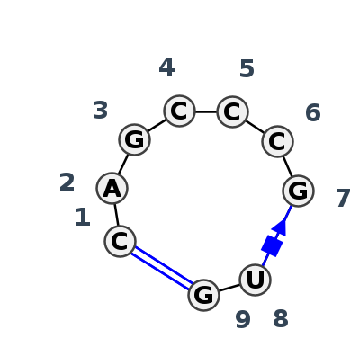 HL_80411.1