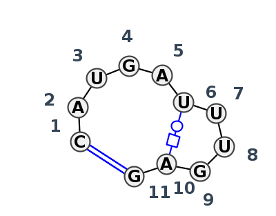 HL_08179.1