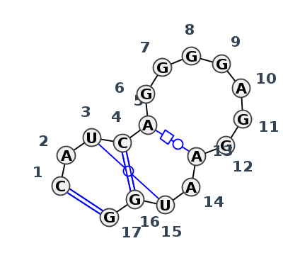 HL_10456.1