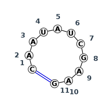 HL_16270.1