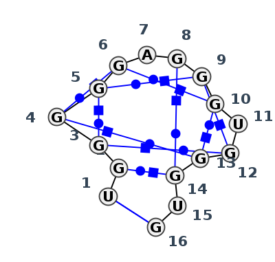HL_29561.1