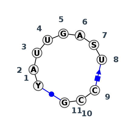 HL_99373.1