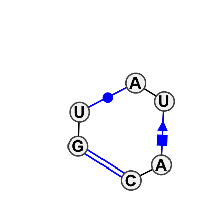 IL_17977.2